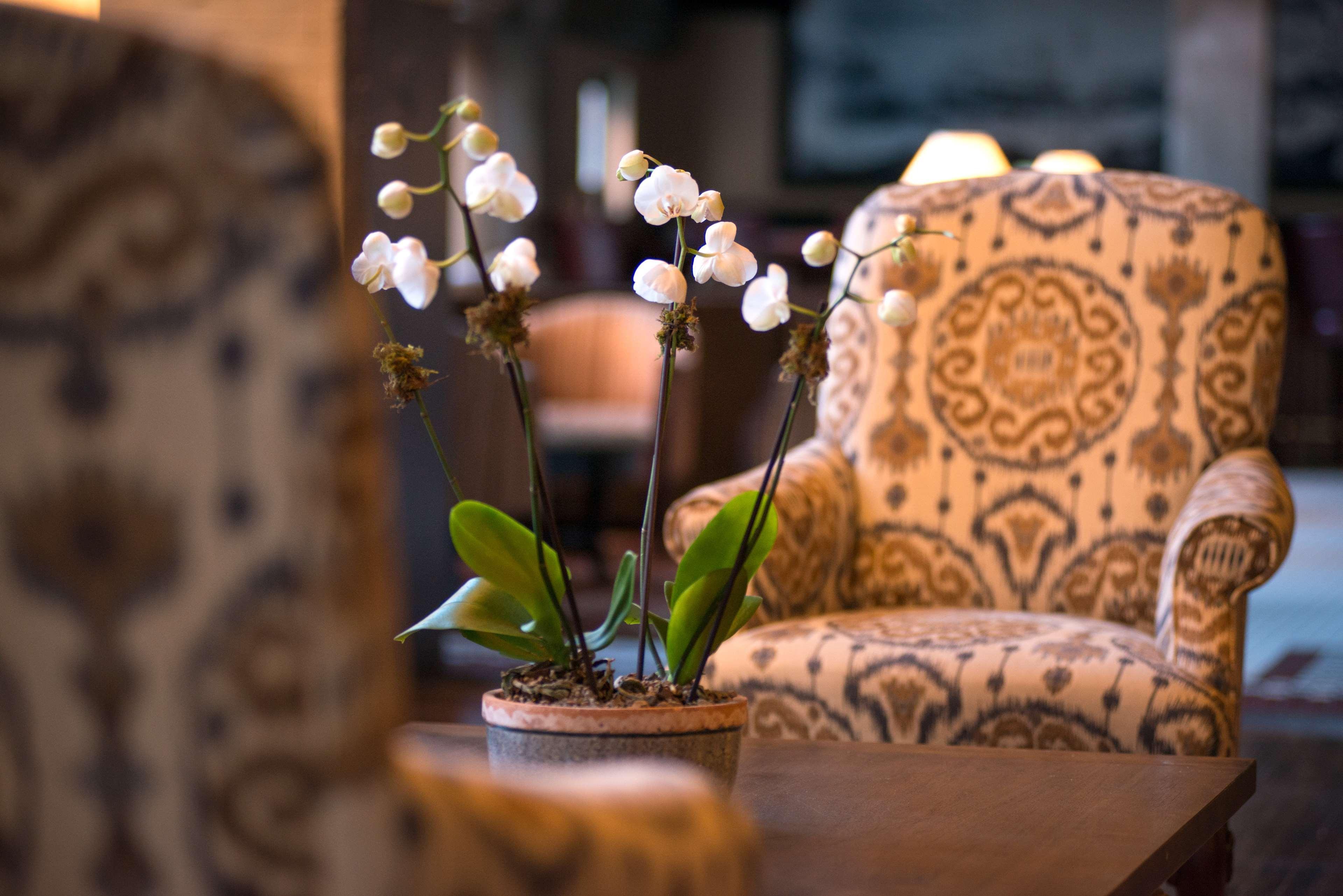 Hampton Inn And Suites New Orleans Convention Center Ngoại thất bức ảnh